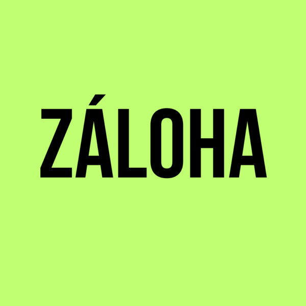 Záloha