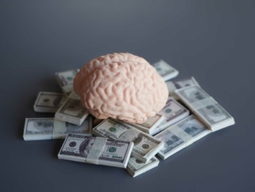 Closeup image of brain and money. Business mindset, investing money in education concept