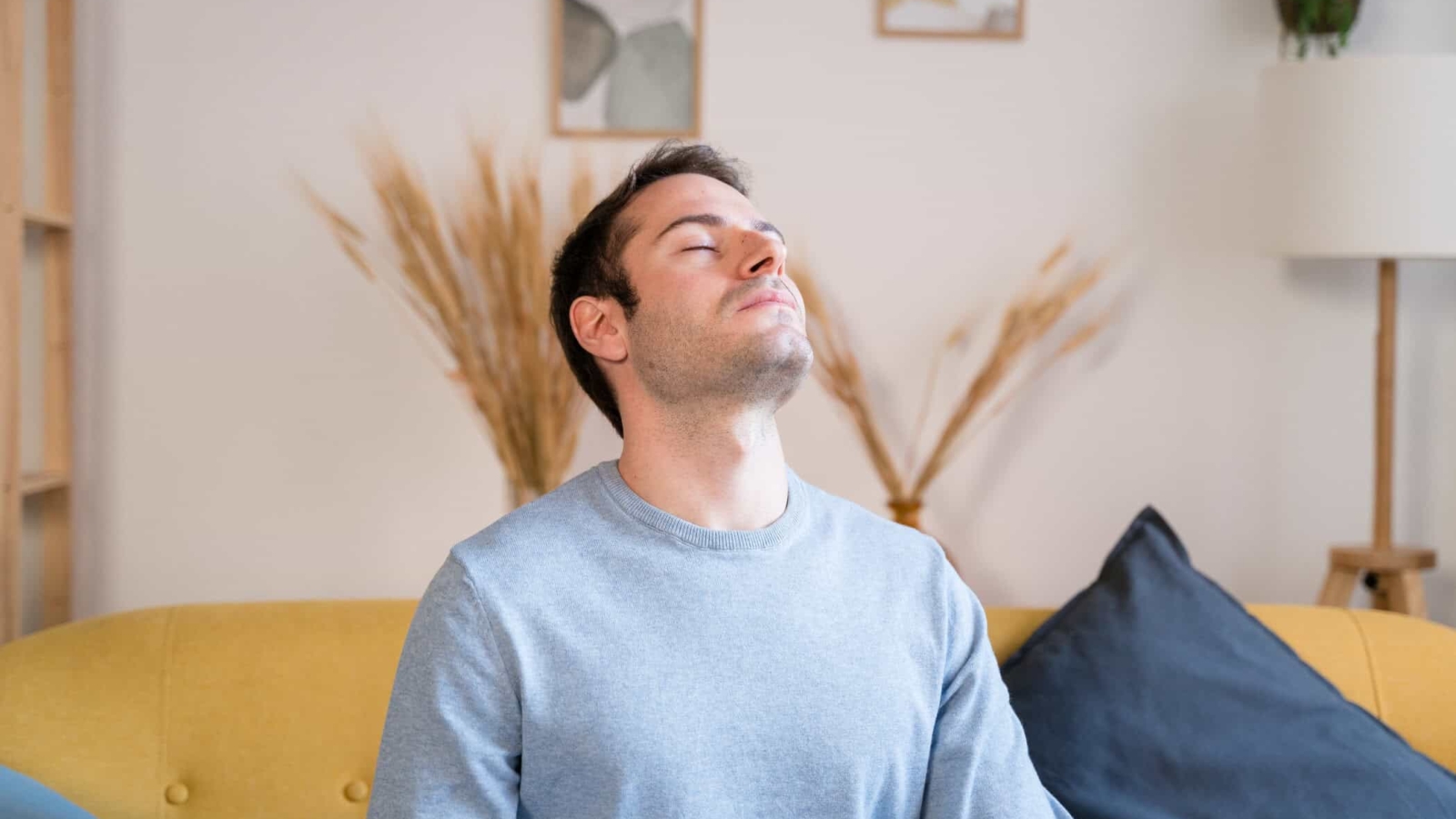 Young bearded male in casual clothes smiling and looking away while resting on couch in cozy living room at home