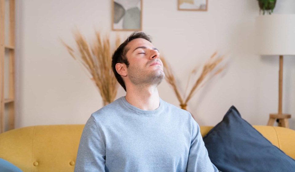 Young bearded male in casual clothes smiling and looking away while resting on couch in cozy living room at home